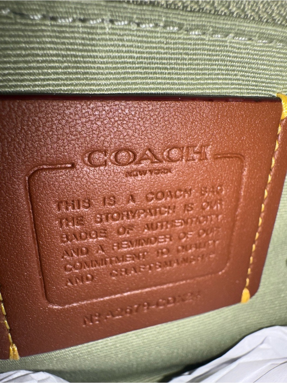Coach Emily Shoulder Bag - Light Pistachio NWT Style CDX24 - Picture 12 of 12